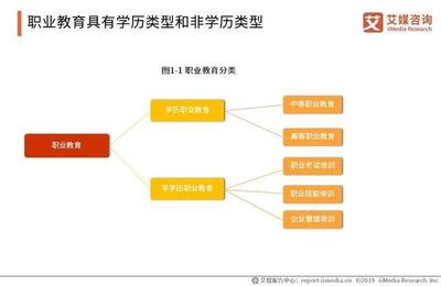 2019中國職業(yè)發(fā)展教育現(xiàn)狀與細(xì)分領(lǐng)域研究報(bào)告 非學(xué)歷職業(yè)技能培訓(xùn)服務(wù)